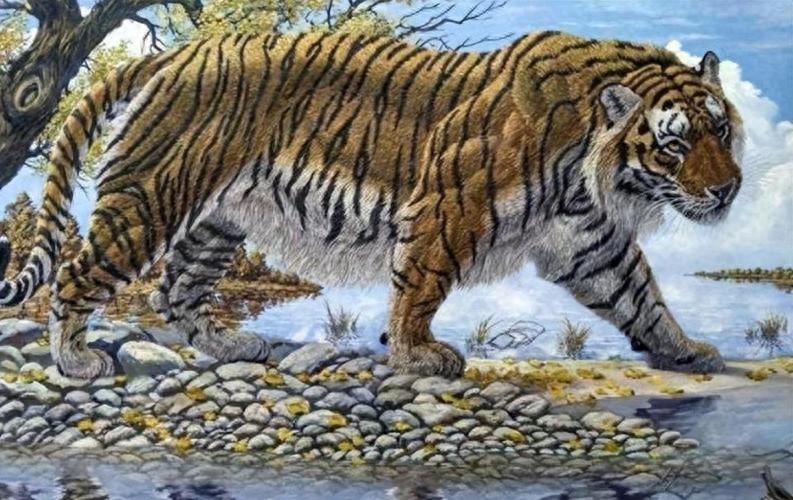 老虎如果灭绝了，后果到底有多严重？新疆的教训至今难忘新疆，这片占我国国土面积