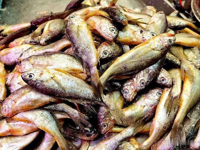 俗话说“无鱼不成宴”，鱼肉可是咱们日常饮食里的重头戏！不过啊，现在市场上有不少