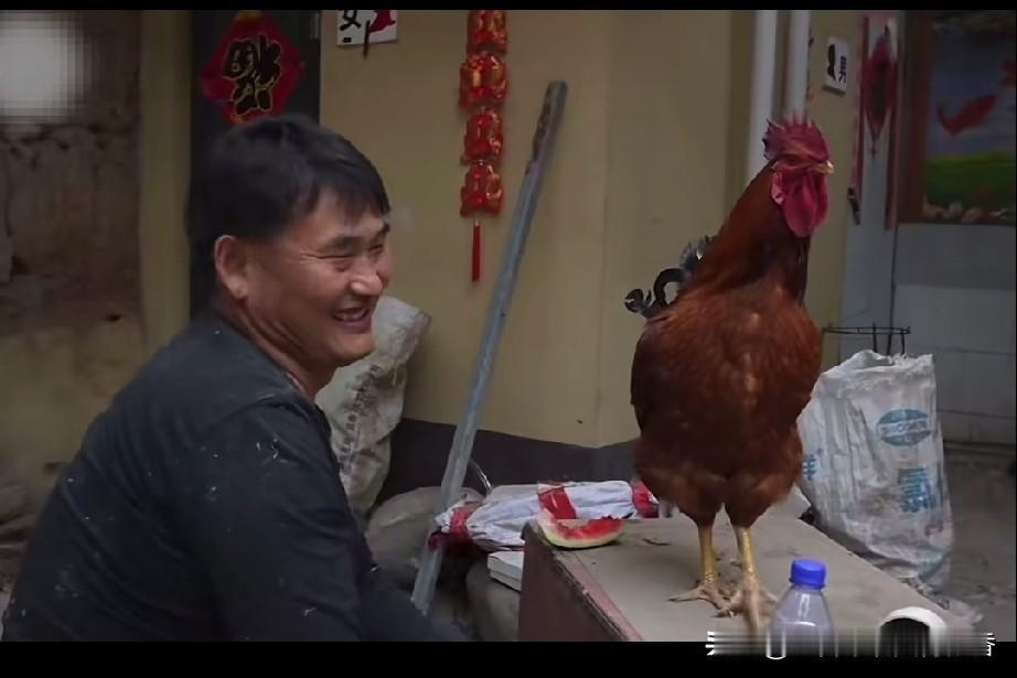 朱之文在面对媒体提问，你为什么不开个帐号，为什么不直播的这个问题时，他是这样回答
