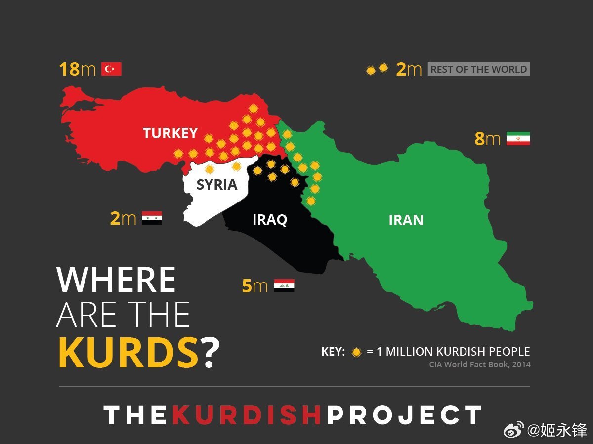 🚨最新消息：库尔德领导人哈桑·沙拉菲证实，库尔德人已决定支持美国对伊朗的军事行