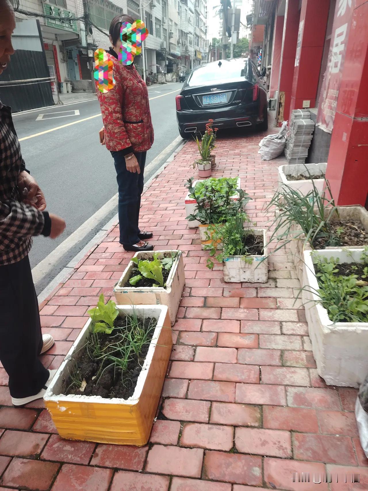 陪老人睡觉还能挣钱，有这好事？67岁的张姐陪84岁的老太睡觉，每个月挣1000