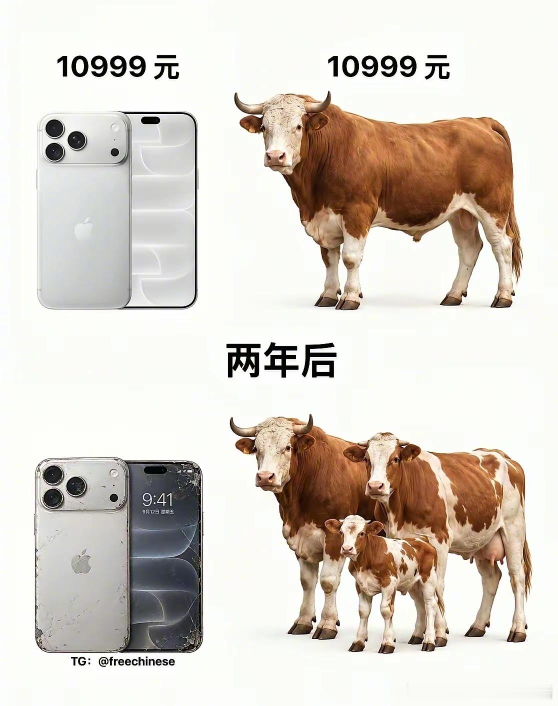 很形象的比喻[大笑]​​​