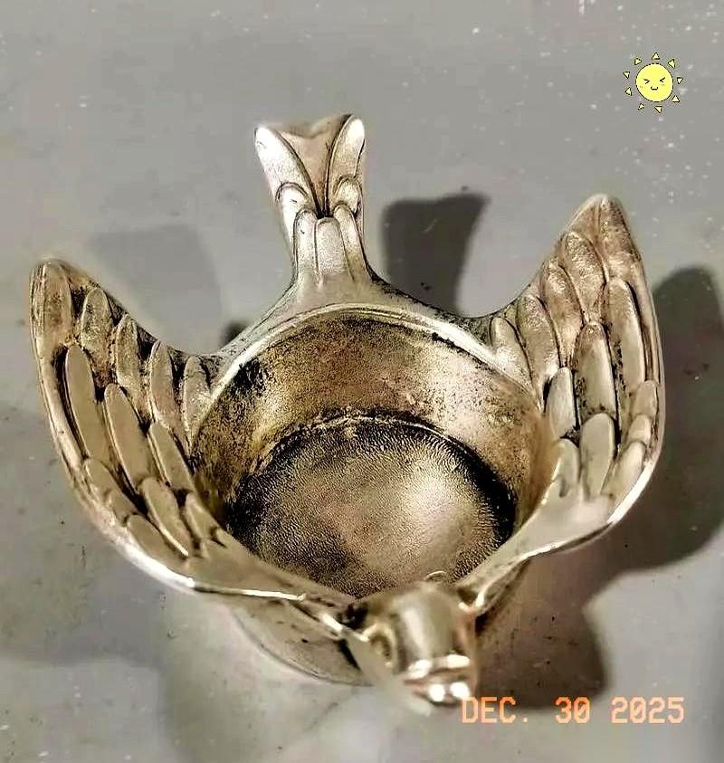 我婆婆，卖了攒了半年的纸箱子出门。回来的时候，手里多了个铁鸟，说花了一千块，从