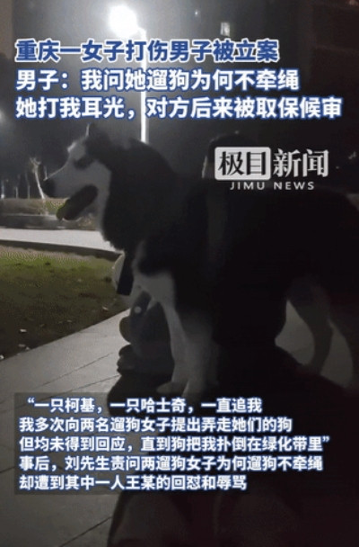 到底是狗“恶”还是人“恶”？重庆，一男子出门遛狗时，遭到两只没牵绳的狗疯狂追赶。