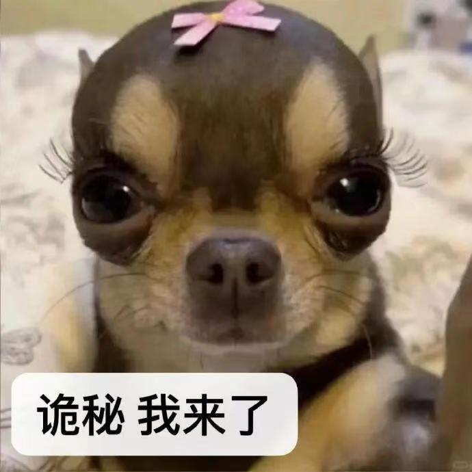 不抽象的表情包我不用[doge]​​​