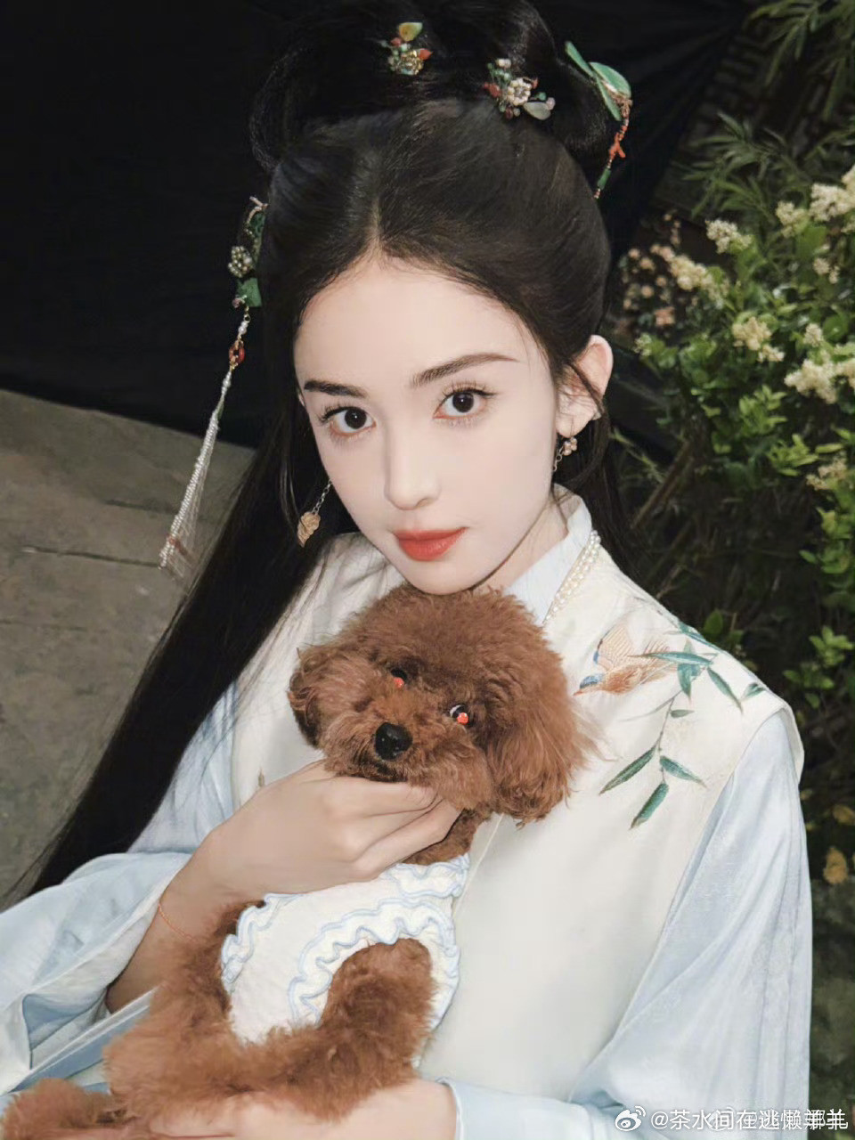 美丽的古力娜扎和备受宠爱的可爱小狗​​​