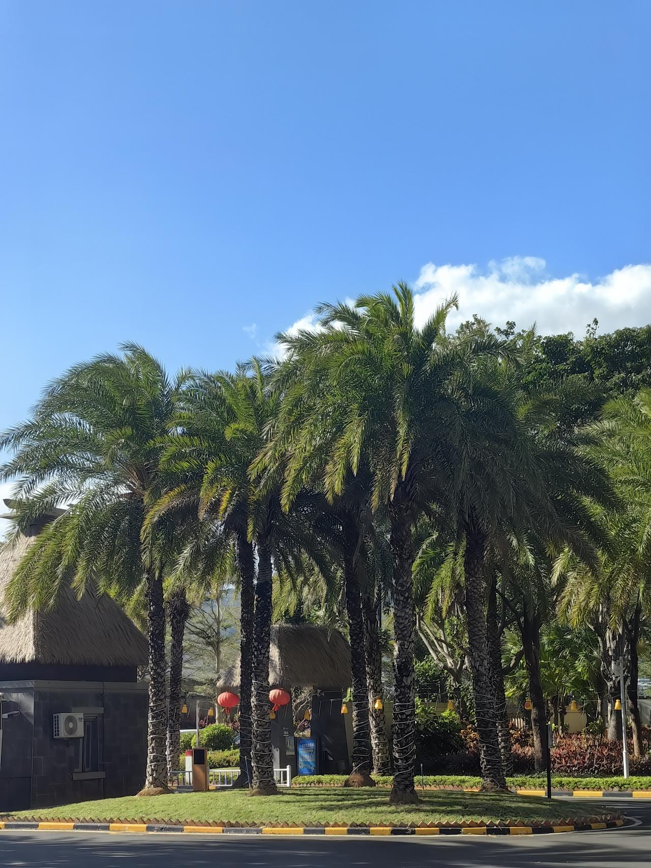 下周一北交所新股申购？刚刚搜索了一下北交所新股申购公告，得出了两条信息