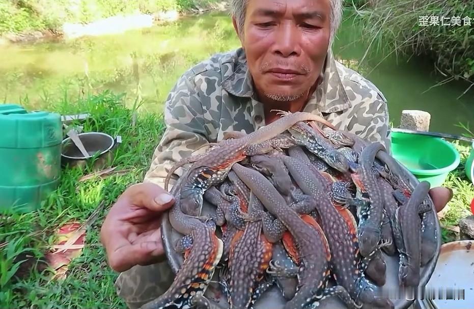 看看下图这越南老头吃的是啥，类似于蜥蜴的动物。这可是他带起同伴起早摸黑，千辛万苦