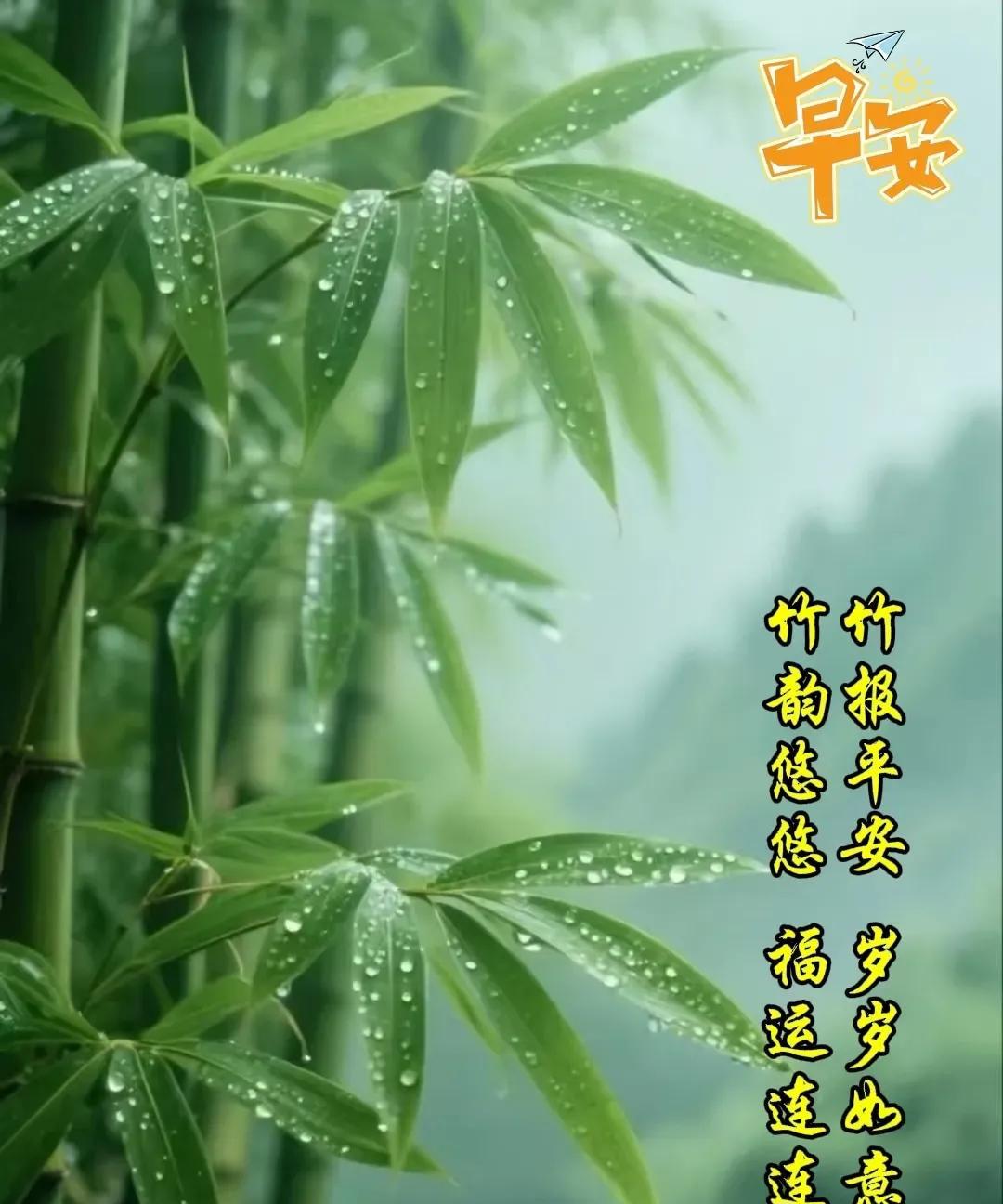 早上好，今天是7月17日星期四。在昨天下午进行的世界大学生运动会女排赛首场比赛