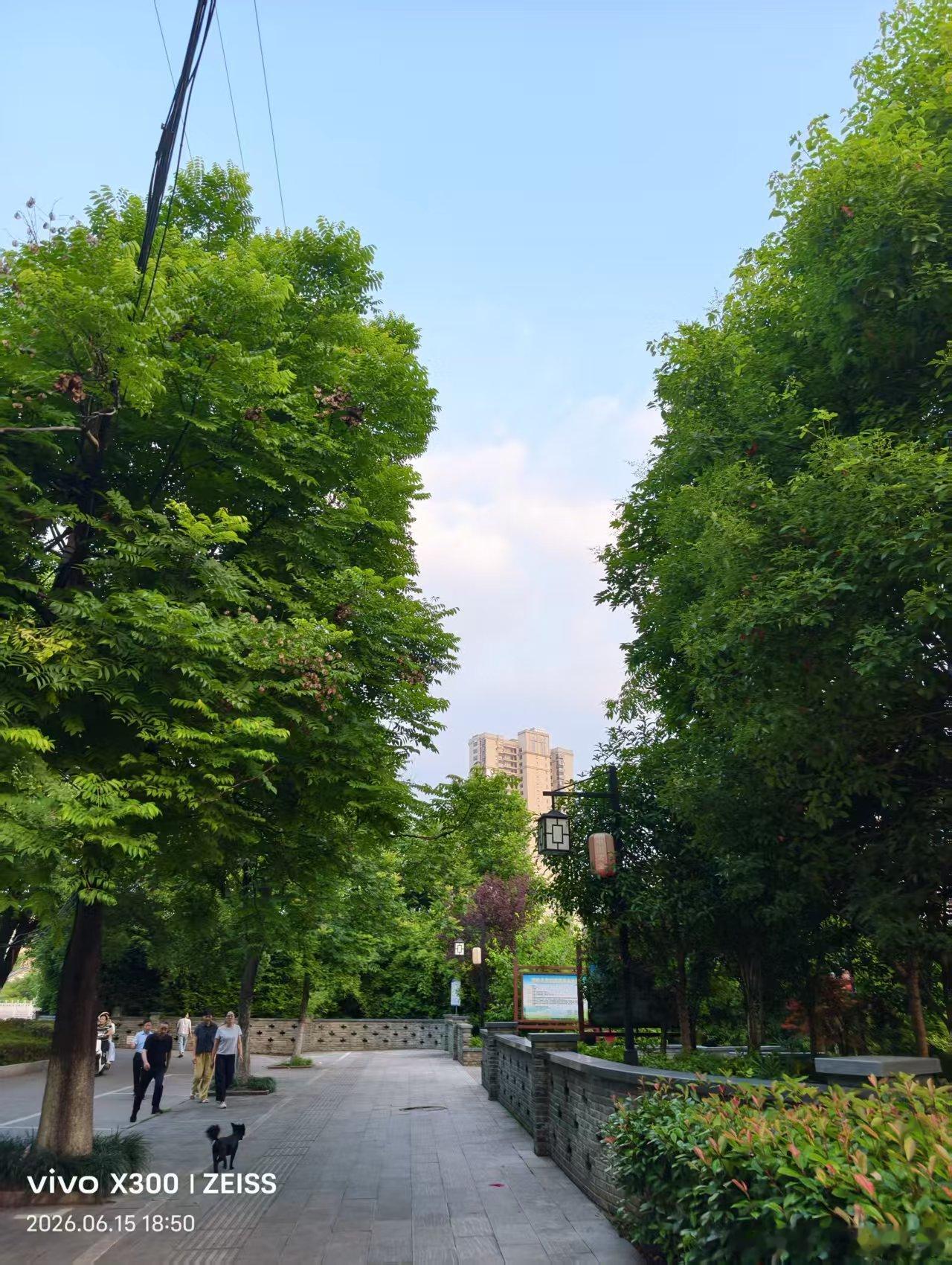 生活不会时时的去厚待我们，人生，谁在前进的路上多看那几道风景，谁在坎坷的途中多行