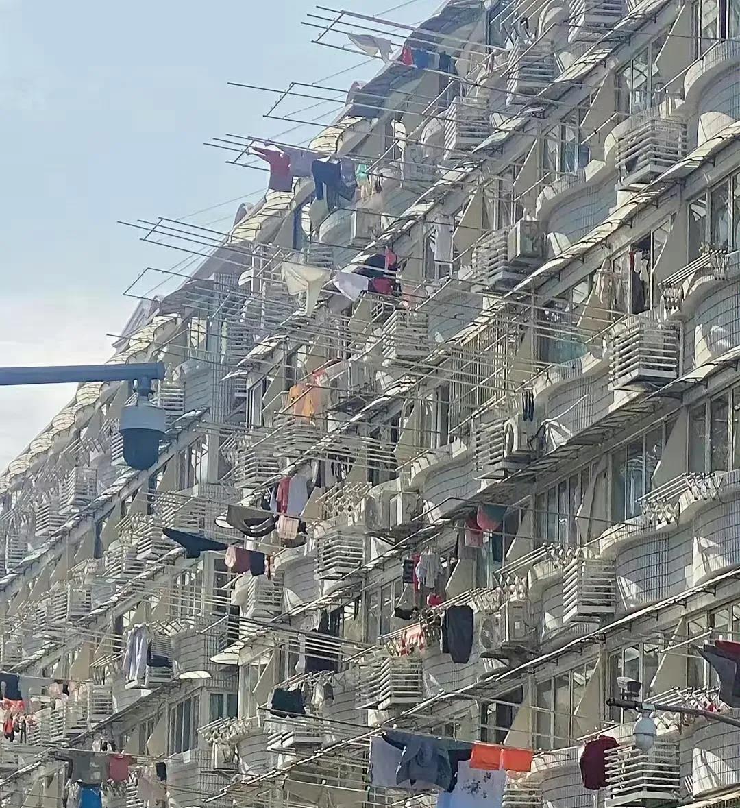 有没有上海人告诉我这是真的吗？