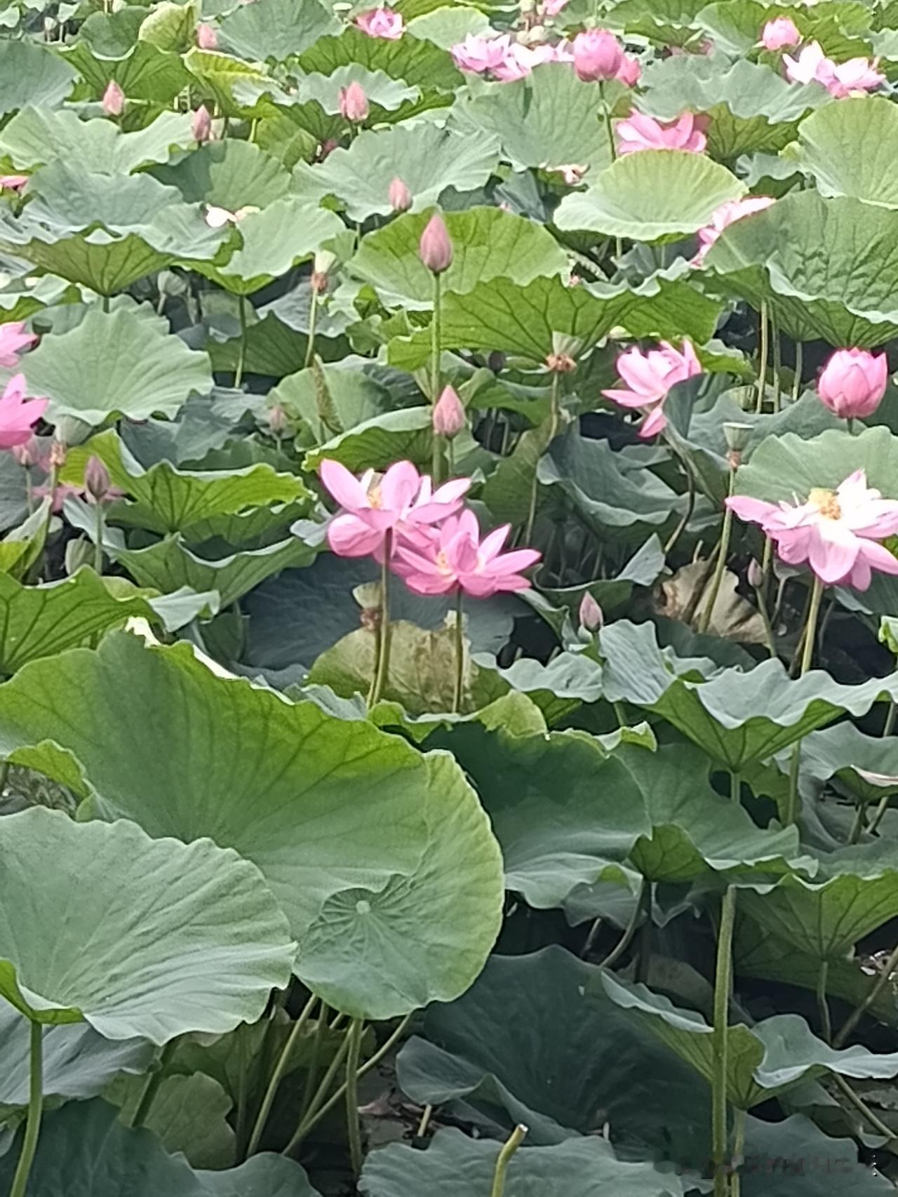 一不比财富，人外有人；二不比子女，各有天命；三不比伴侣，冷暖自知。守好自己