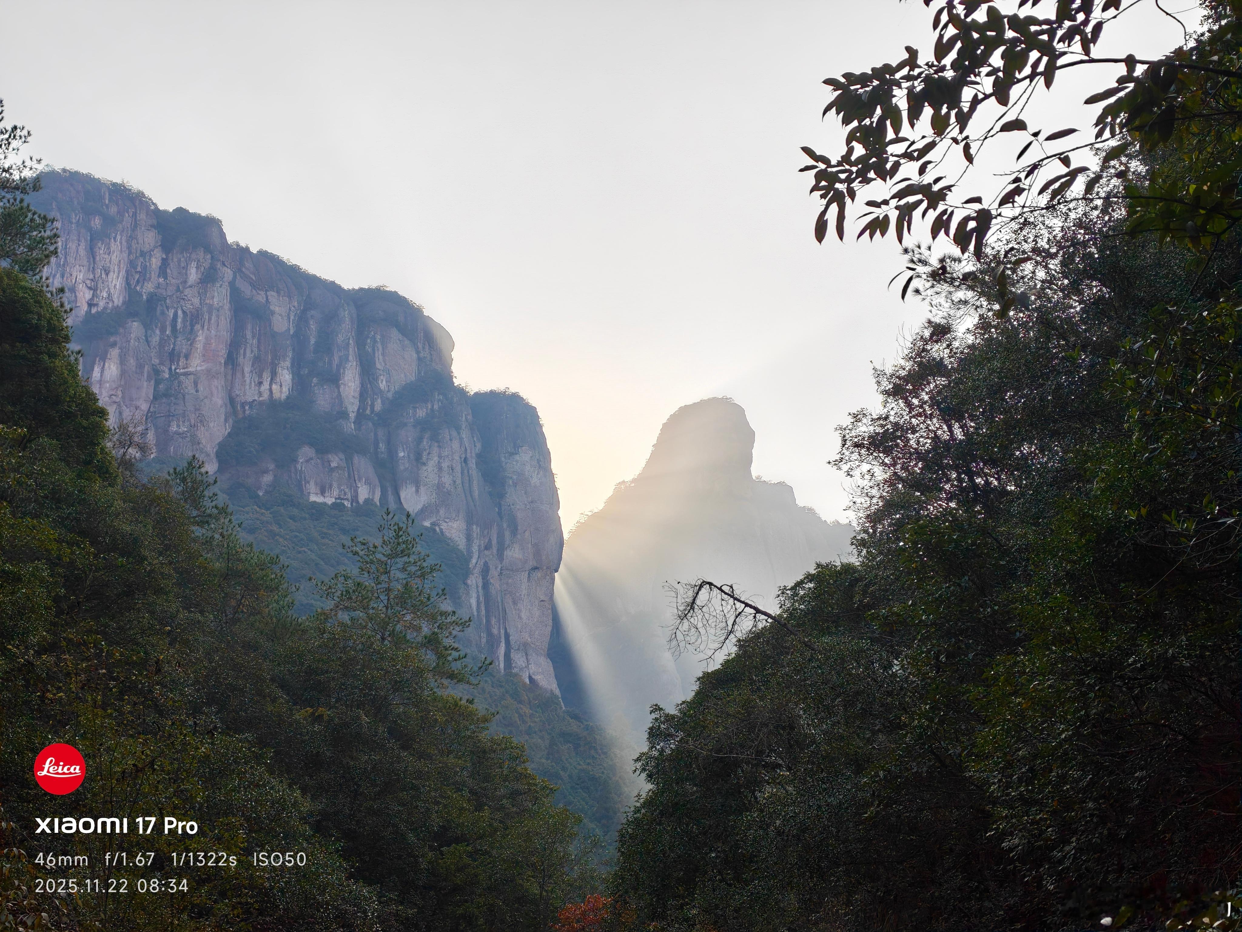 佛光逆光之王，真帅。