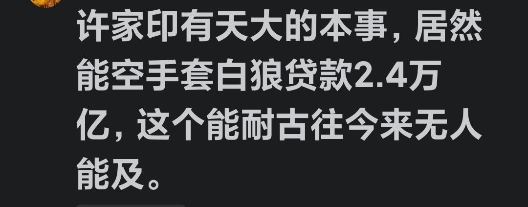 不得不承认，许家印确实是个厉害至极的角色。国家银行给他提供了巨额贷款，他便在全国