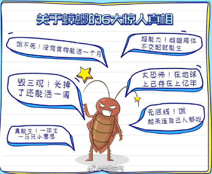 【全运会赛场惊现大蟑螂关于蟑螂的6个“谣言”竟然是真的？】正在粤港澳地区举办