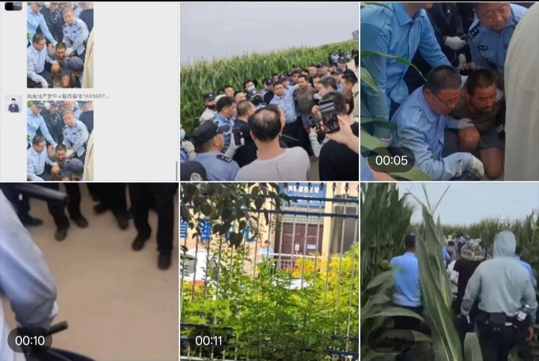 网传今天下午三点逃犯被抓到。