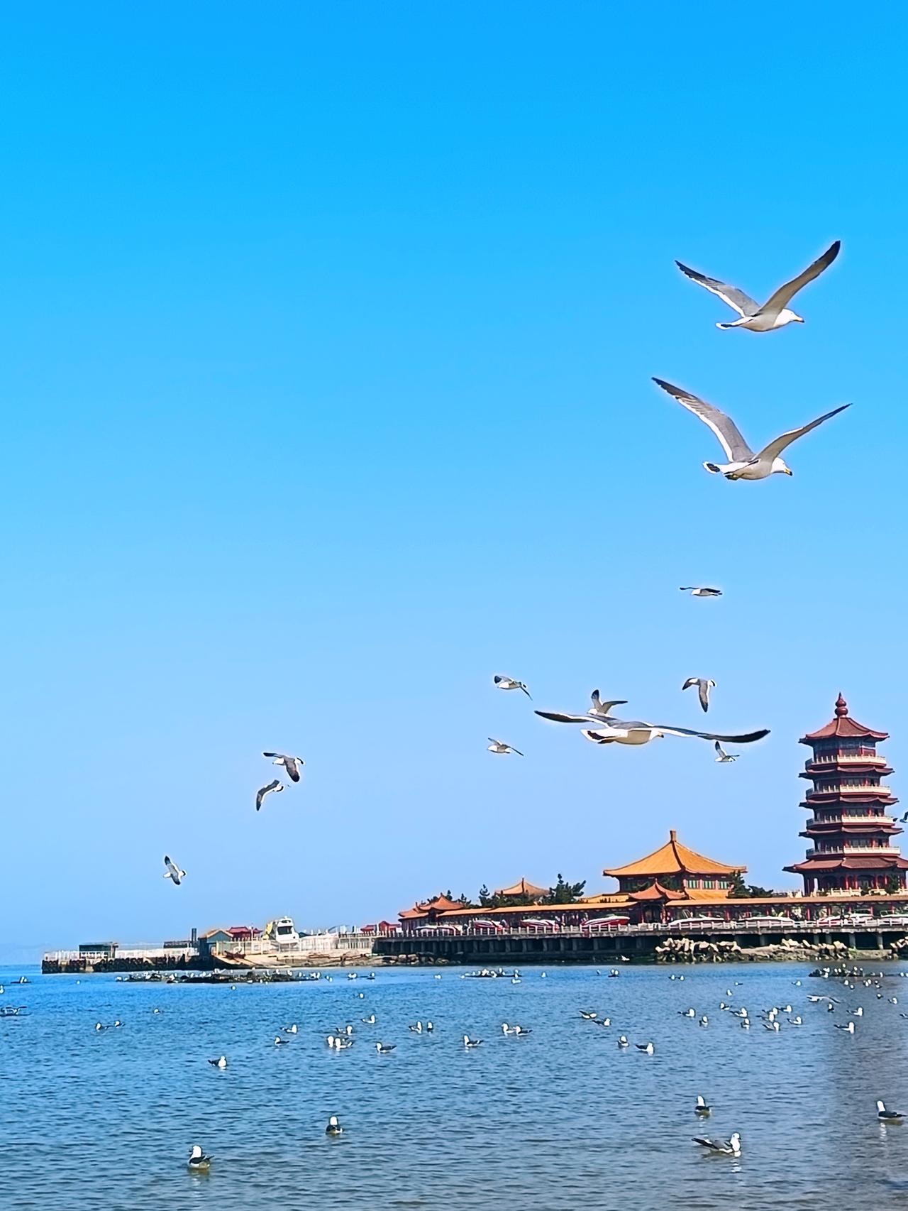 ❤️俗话说相由心生，所有的福报和苦厄都是一个人一言一行的修为因果。最高级的女