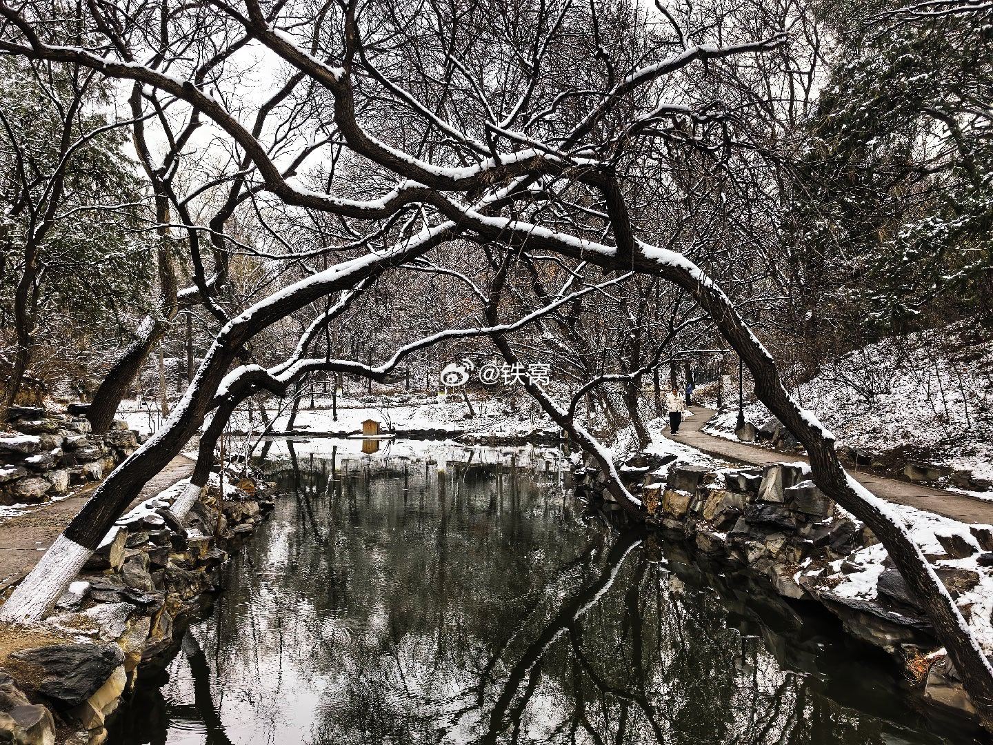 惊蛰遇见北大春雪摄影