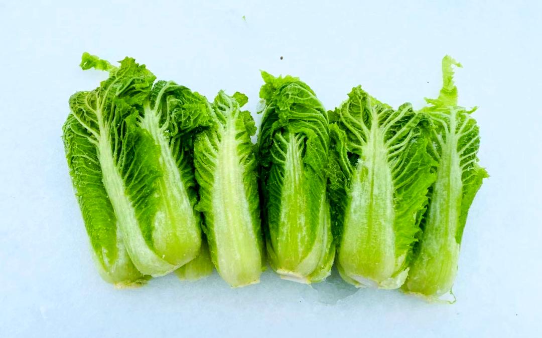 举一下身边人的例子。我同事小华，工作的时候从来就没有想过晋升职称，她中级职称退