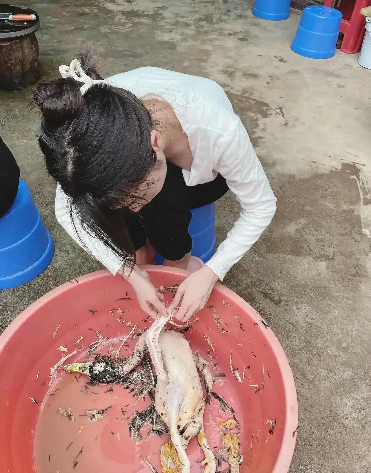 冬日生活打卡季农村生活日常🌾在田间地头，感受大自然的馈赠。