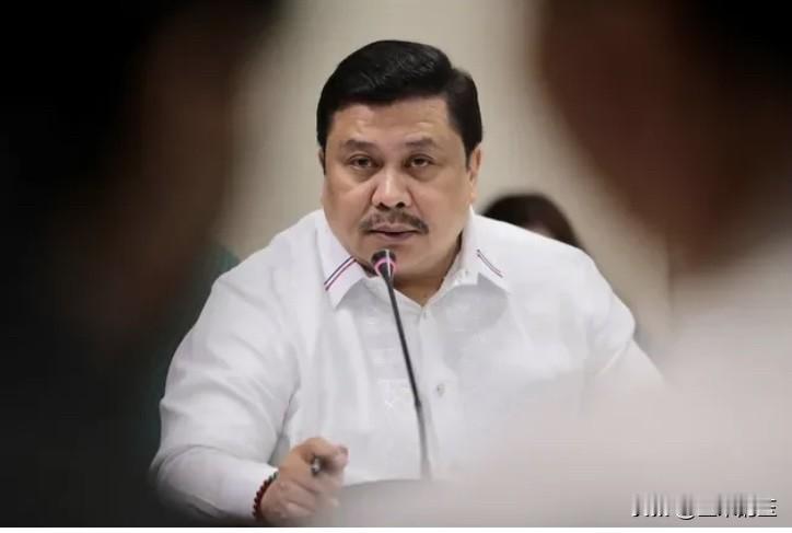 菲律宾参议员金戈伊·埃斯特拉达认为K12教育计划是失败的。埃斯特拉达在参议