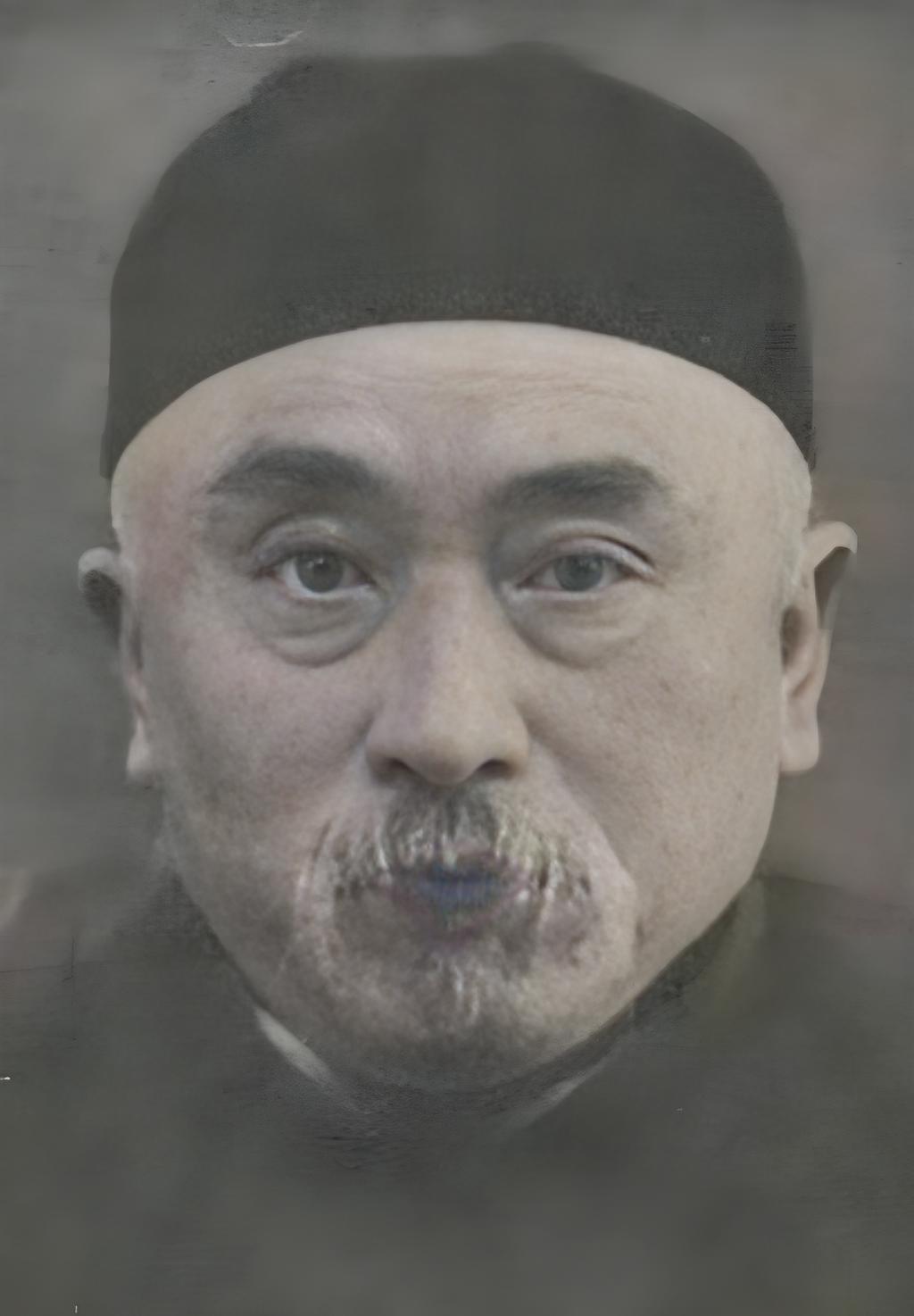 1910年，上海滩一位留长辫的中医写了小说，书中借一场梦境写出未来中国收回全部