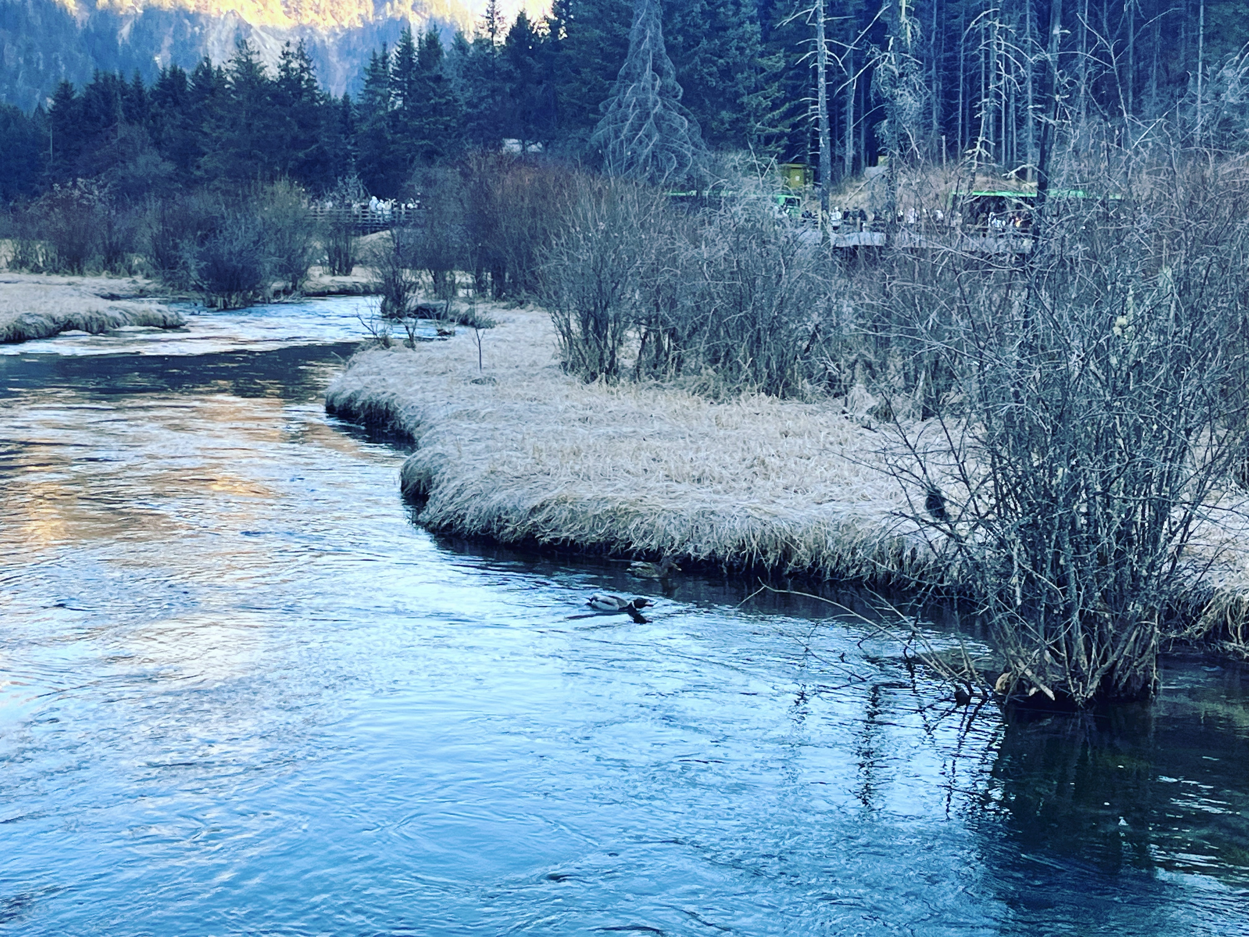 四川这些景区门票已经约满九寨沟今天约满了，还好提前做好功课！阿坝·九寨沟-箭竹