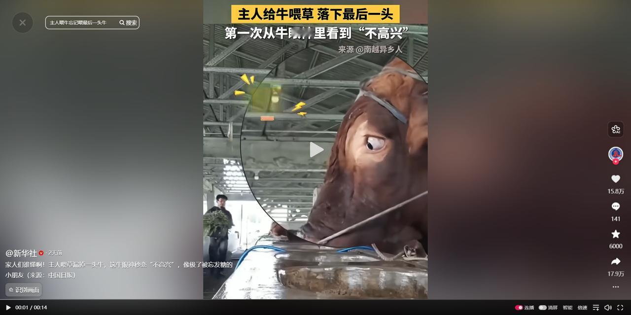 4月28日，越南一处农场里发生的趣事意外走红网络，只因农场主喂草时的一次小小疏忽