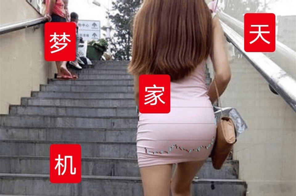 准备上新车！​​​
