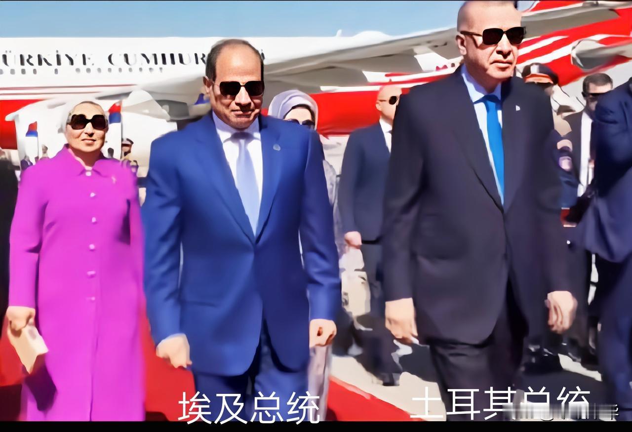 亲自赴机场迎接土耳其总统埃尔多安，埃及总统塞西采用的是外交规格上的最高安排。两