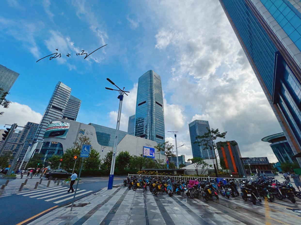 广州番禺区作为承载岭南文化根脉的重要郊区，虽2000年已撤市设区融入广州，却仍有