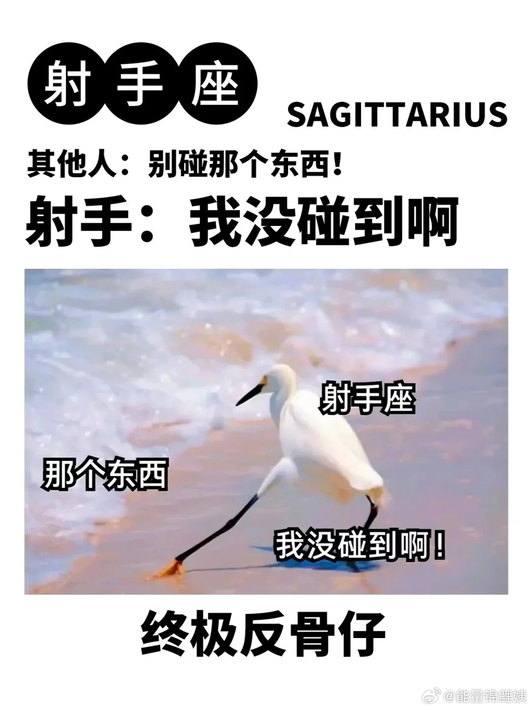 普通人的反骨，对不想做的事情保持独立的态度。射手座的反骨：我的美力由我定义​​