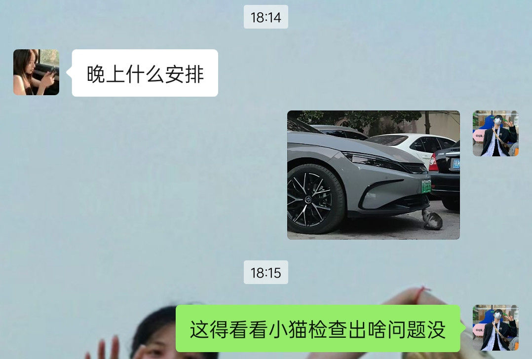师傅，麻烦帮我检查仔细点