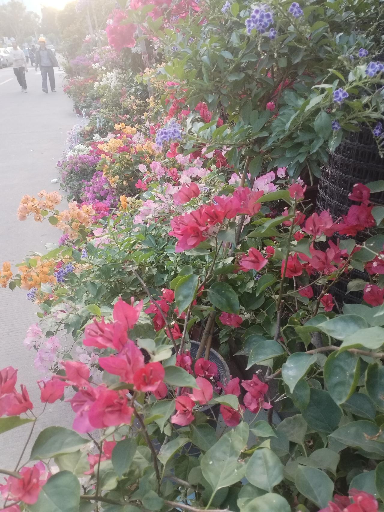 今天，一位朋友公司破产了，负债一百三十万，他叹气道，这辈子可能没法翻身了，他是做