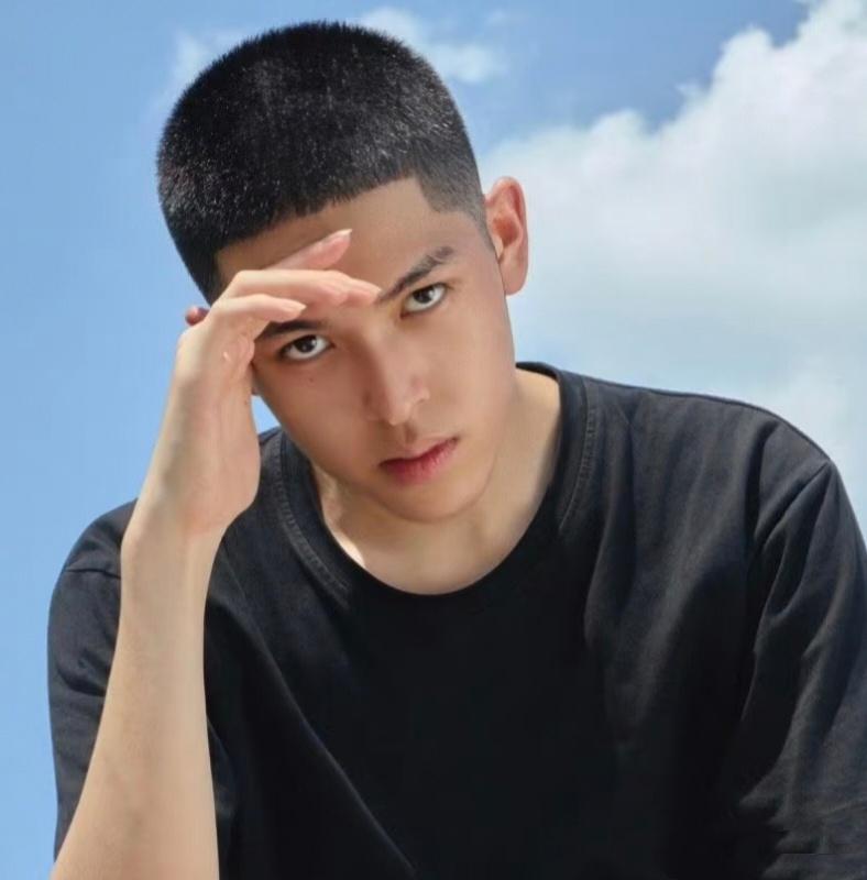 从《一年级》到《神犬小七3》：童星陈思成的成长之路陈思成，这位2008年出生