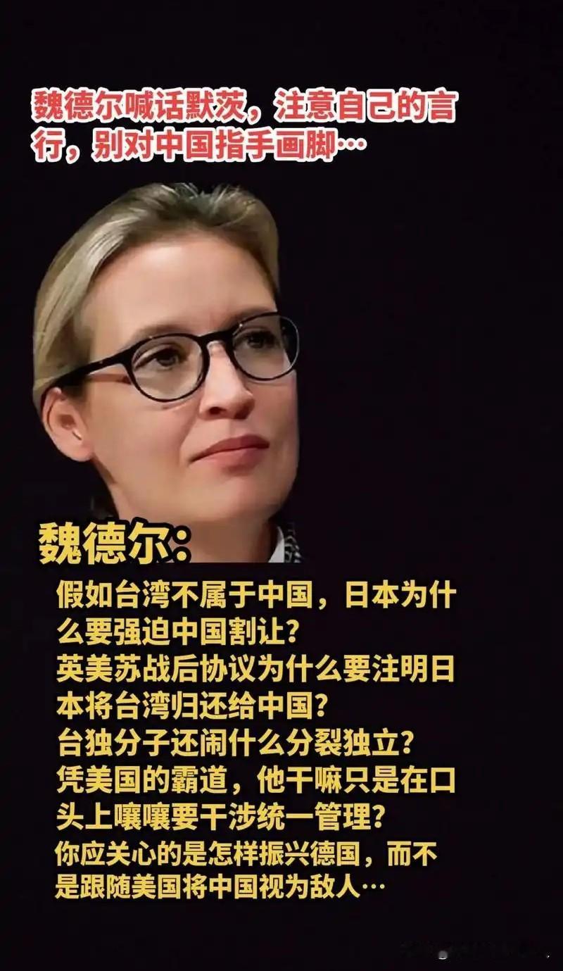 德国“非主流”女大佬爆火！怼政客、批战争、护经济，网友：终于有人说真心话了在德