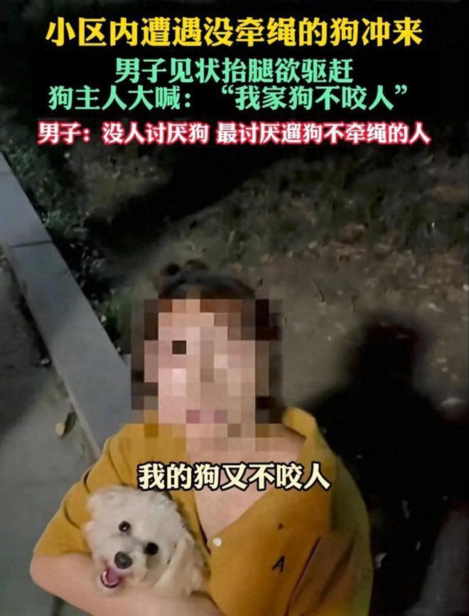 “没毛病！”浙江，男子晚上在小区里散步，不料一条没栓绳的小狗突然扑上来，男子下意