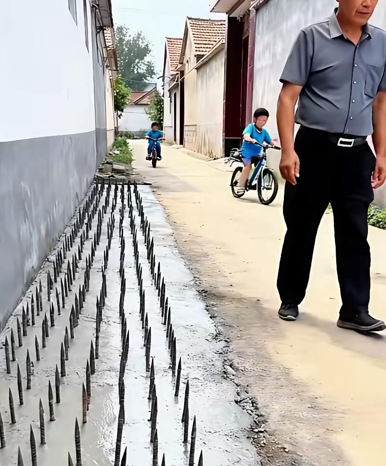 这个是农村的一个住户，怕房子被路过的卡车给刮了，居然在墙的周边加上这么多的钢钎子