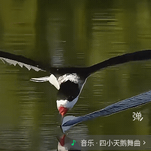 只听说过犁田，嘿，今天第一次看到犁鱼……绝了!