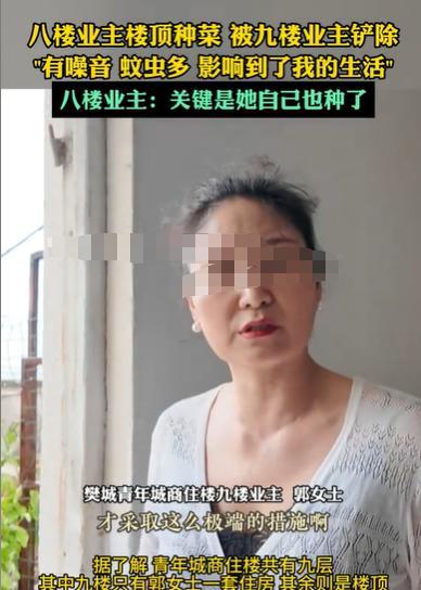 湖北襄阳，8楼的男子在楼顶种菜，9楼的女子看不过去，就把菜全部铲走了，男子找女子