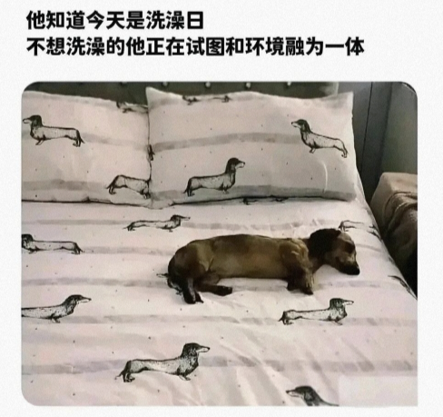 知道是洗澡日