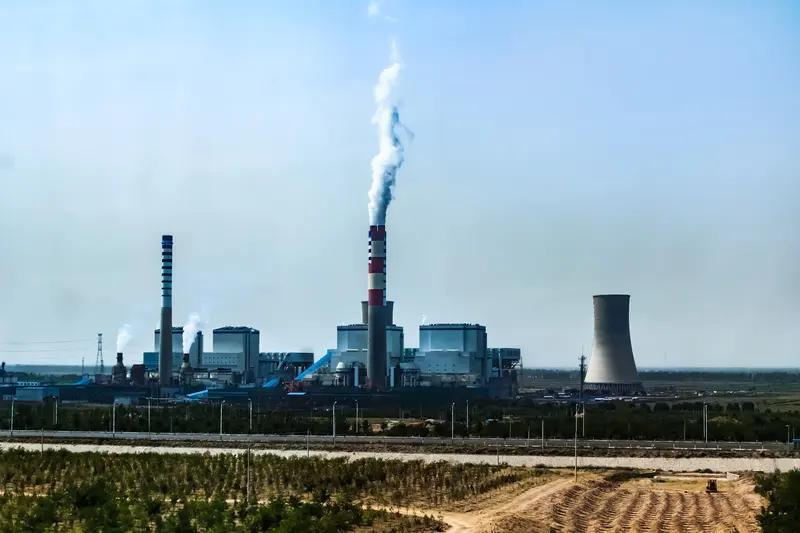 宁夏产业发展成果简直亮瞎眼！水产养殖业独树一帜，利用内陆盐碱水模拟海水环境，实现