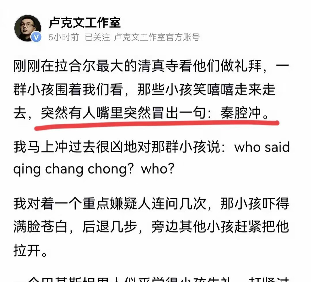 华人国外被叫“秦腔冲”---我了