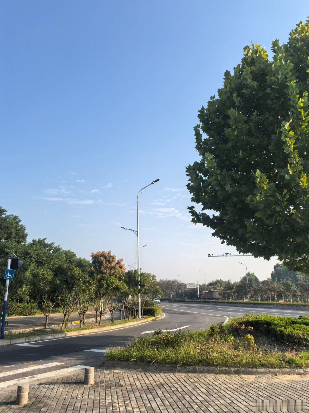 清早，走走路，晒晒太阳，闻闻花香，舒坦～​​​