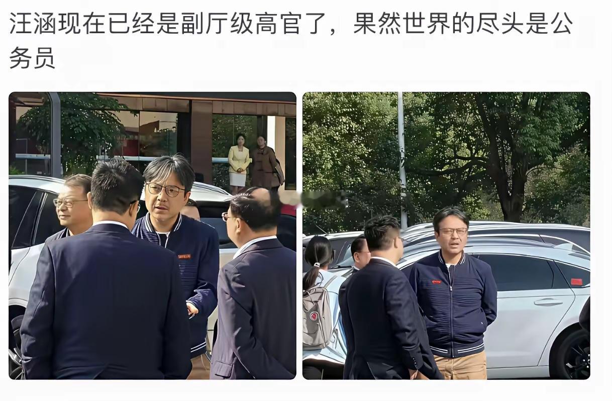 汪涵现在已经副厅级了吗？