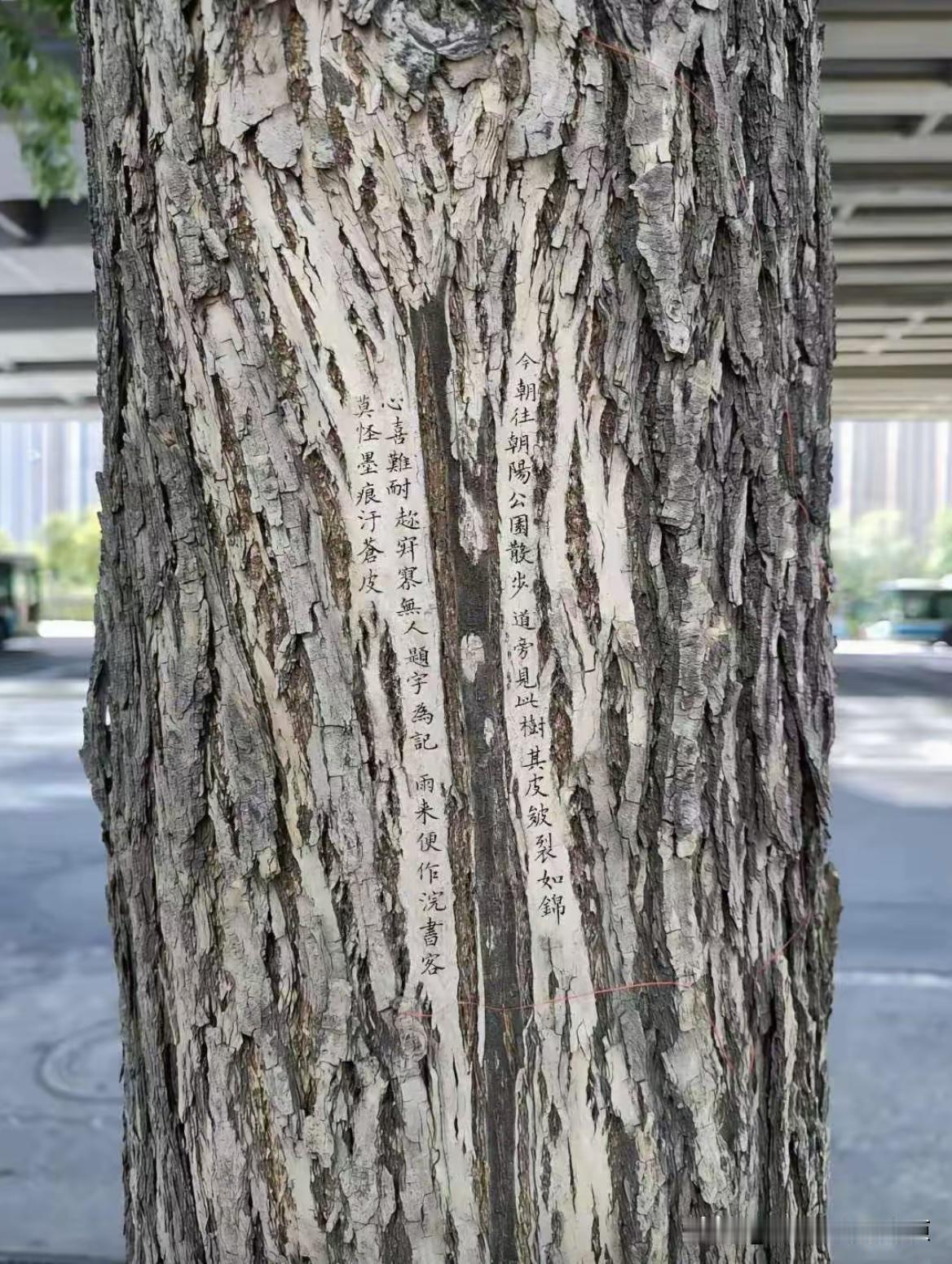 什么叫做大师？什么叫做大隐隐于市？这字，这书法不比那些首尾的泼墨大师厉害吗？不