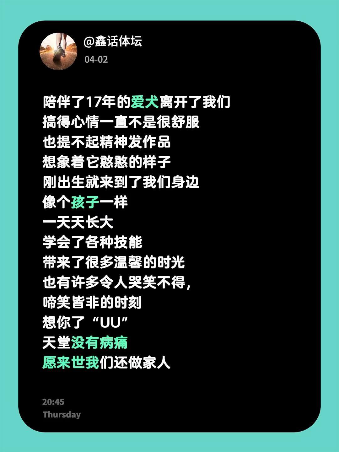陪伴了17年的爱犬离开了我们搞得心情一直不是很舒服也提不起精神发作品想象着它憨憨
