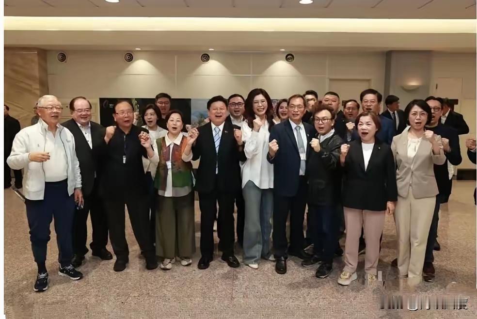 郑丽文返台机场对峙！一边欢呼一边叫嚣，两岸和平最大阻碍终于看清桃园机场上演