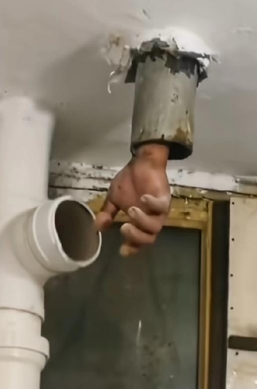 老天爷！这手看起来有点4了，经常碎尸的都知道，这是碎的不够彻底，用打火机烧一下试