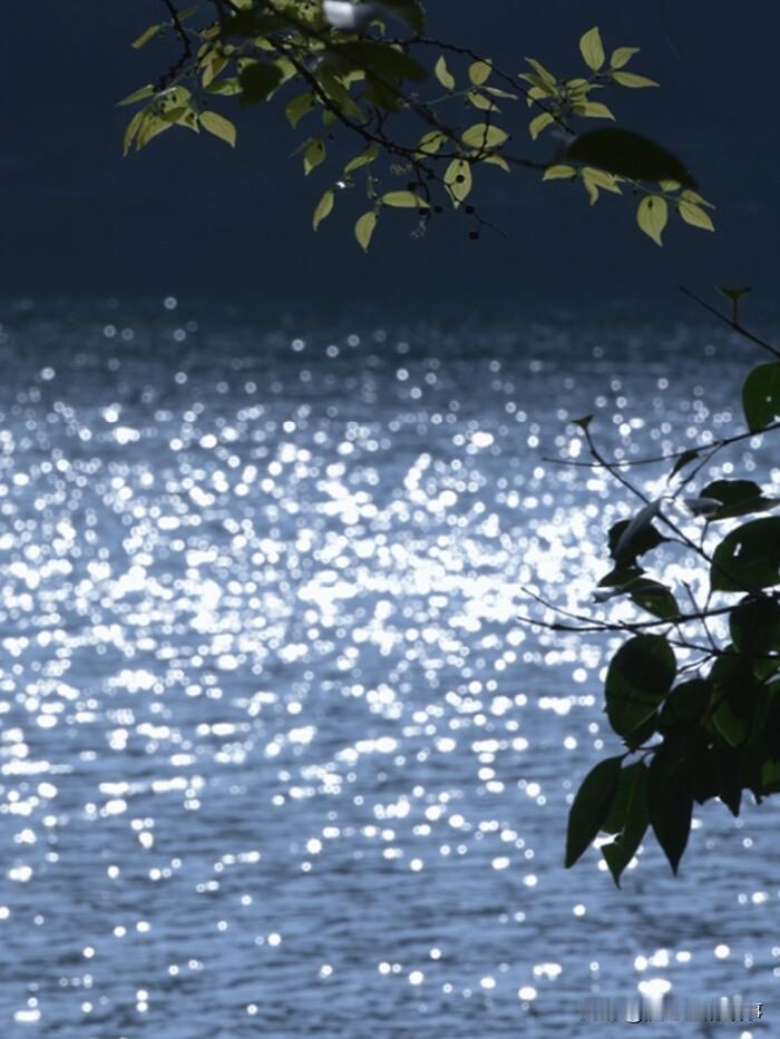 我下定决心！25年最后一天，谁也不想，谁也不管！不在乎有没有钱过年，不在